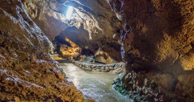 Экскурсия из Гурзуфа: Крымская Швейцария ( Форос + Скельские пещеры) фото 9408