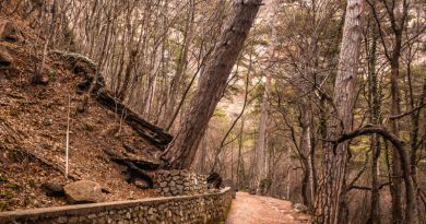 Авто-пешеходная экскурсия из Алушты (фото 3)