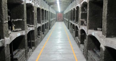 Экскурсия Дегустация в Массандре фото 5814 Экскурсия Дегустация в Массандре фото 5814
