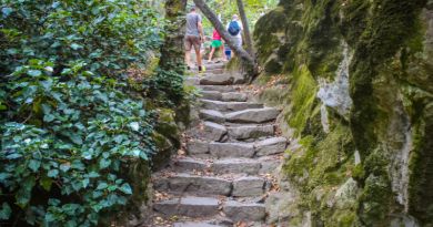 Авто-пешеходная экскурсия из Алушты (фото 31)