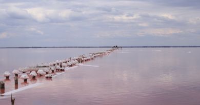 Экскурсии в Озеро Сасык-Сиваш (розовое озеро) из Гурзуфа 2024