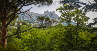 Авто-пешеходная экскурсия из Алушты (фото 39)