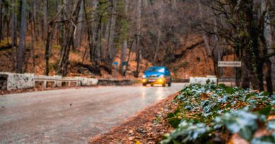 Авто-пешеходная экскурсия из Гурзуфа (фото 9)