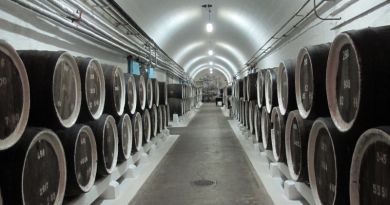 Детали маршрута: винодельческий комбинат «Массандра»