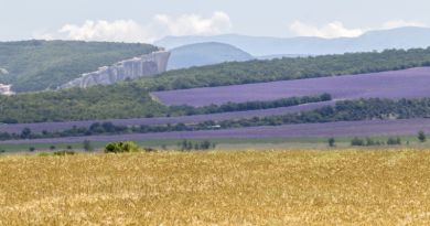 Авто-пешеходная экскурсия из Гурзуфа (фото 6)
