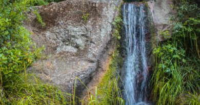 Авто-пешеходная экскурсия из Алушты (фото 7)