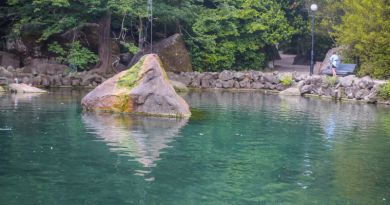 Авто-пешеходная экскурсия из Алушты (фото 38)