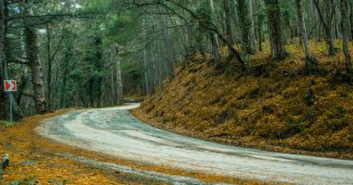 Авто-пешеходная экскурсия из Гурзуфа (фото 7)